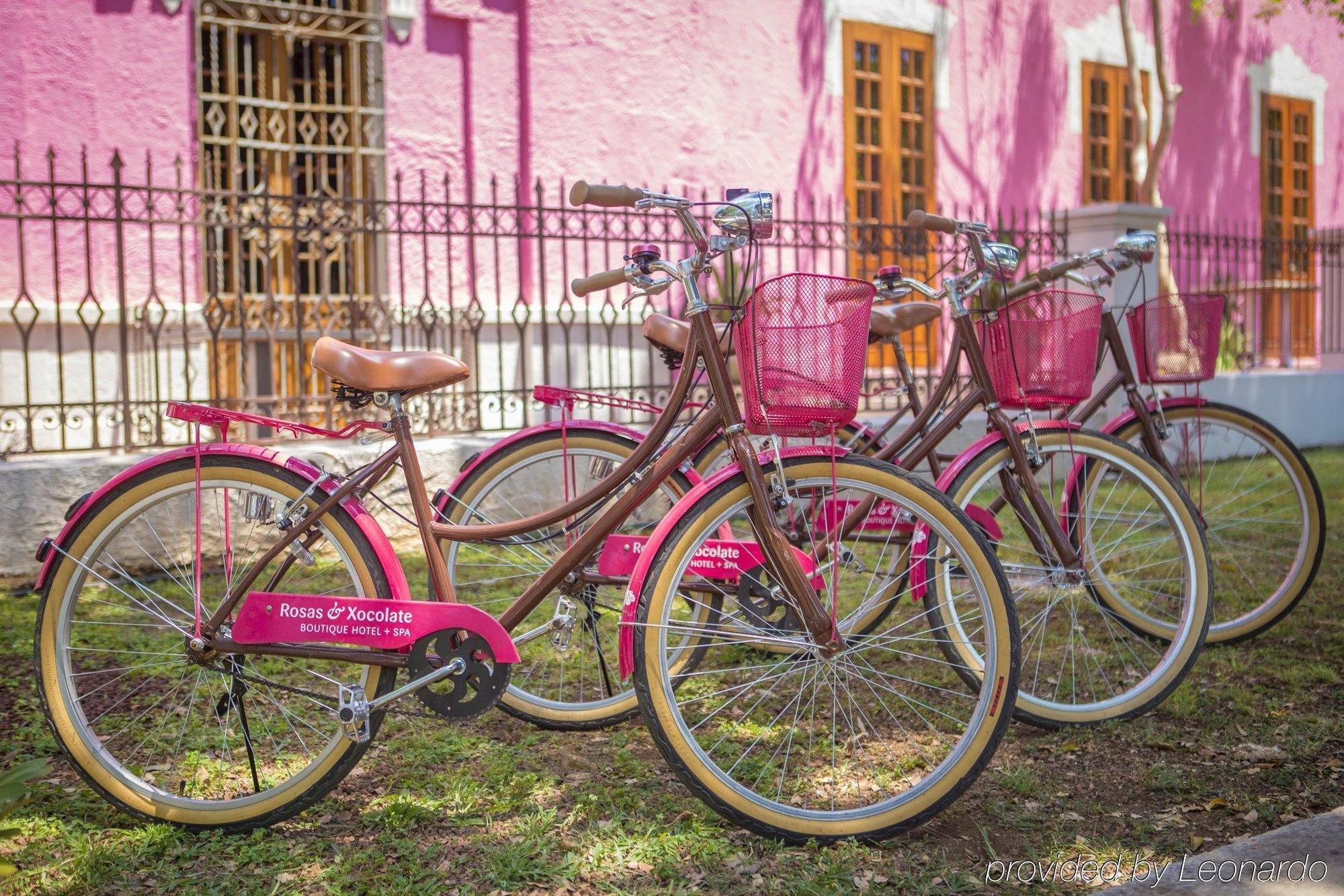 Rosas & Xocolate Boutique Hotel And Spa Merida, A Member Of Design Hotels Exterior photo